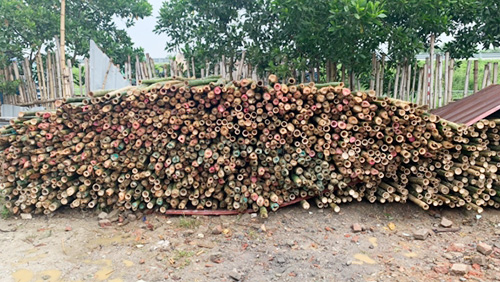 CỌC TRE LỘC PHÁT - CÔNG TY TNHH THƯƠNG MẠI VÀ DỊCH VỤ FORBIGSU VIỆT NAM